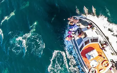 boat from above