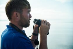 Spotting Whales and Dolphins aboard the Atlantic Whale and Wildlife Tour