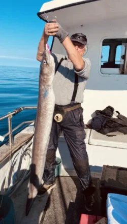 Sea Fisherman holds his prize catch from a Sea Angling Fishing Trip in West Cork