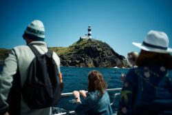 Our sea tours around Hook Head lighthouse and seven heads