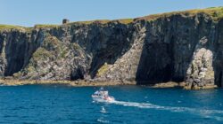 default Atlantic Whale & Wildlife Tour around the cliffs at Seven Heads Peninsula