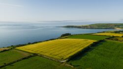 default West Cork Coastline with spectacular views of Seven Heads Peninsula
