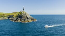 default Atlantic Whale and Wildlife Tours around Hook Head Lighthouse West Cork