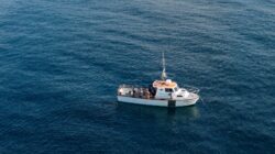 default The Lady Catherine on a whale, shark and dolphin tour operated by Atlantic Whale and Wildlife Tours