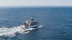 default Whale and Wildlife Tour boat setting sail on a tour of west cork coast