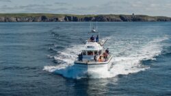 default Whale and Wildlife Tour boat returning from a tour of west cork coast to courtmacsherry