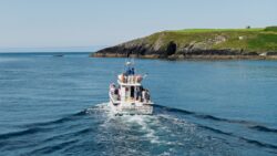 default Atlantic Whale and Wildlife Tours sailing out of Courtamcsherry on a tour